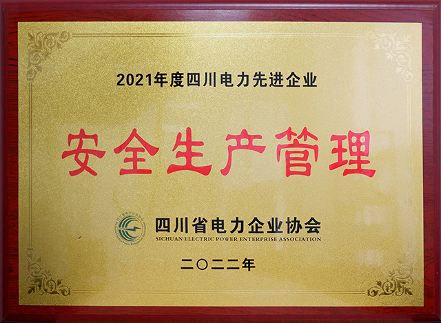 成蜀电力集团荣获四川省电力企业协会两项荣誉